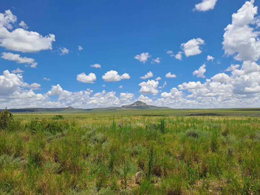Commercial Property for Sale in Rosendal Free State